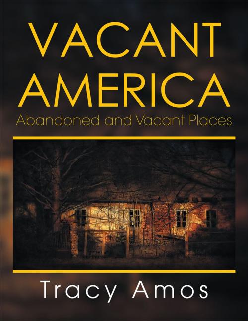 Cover of the book Vacant America by Tracy Amos, Xlibris US