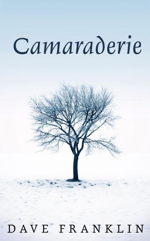 Cover of the book Camaraderie by Dave Franklin, Baby Ice Dog Press