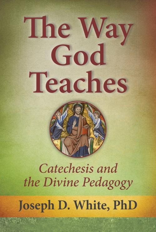 Cover of the book The Way God Teaches by Joseph D. White, PhD, Our Sunday Visitor