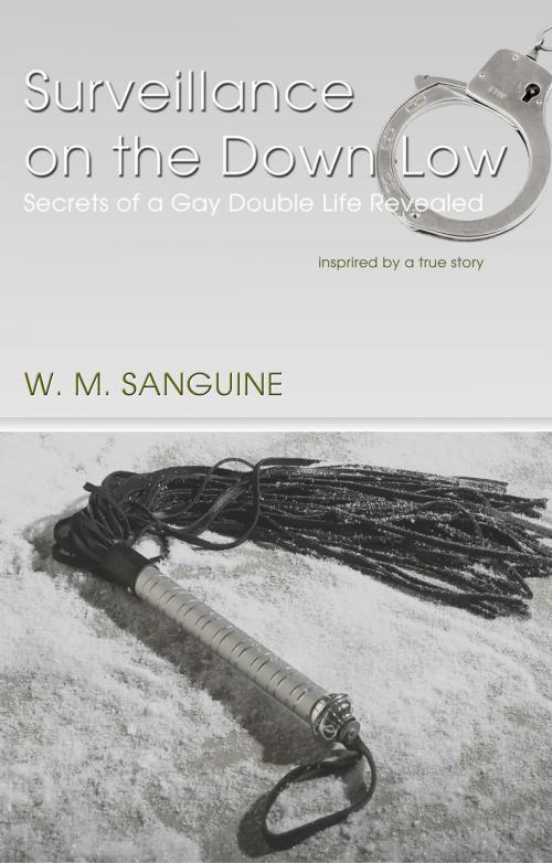 Cover of the book Surveillance on The Down-Low by W. M. Sanguine, First Edition Design Publishing