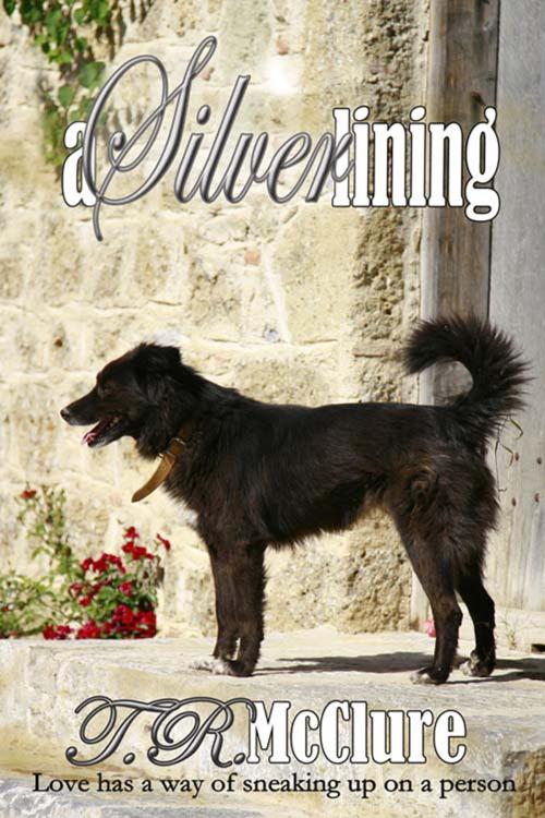 Cover of the book A Silver Lining by T. R. McClure, The Wild Rose Press, Inc.