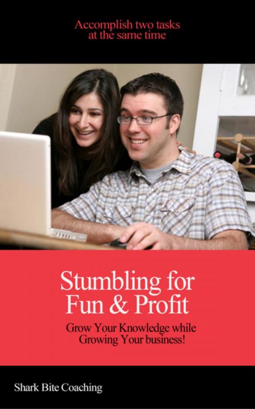 Cover of the book Stumbling for Fun & Profit by Cassandra Fenyk, Fenyk Enterprises LLC