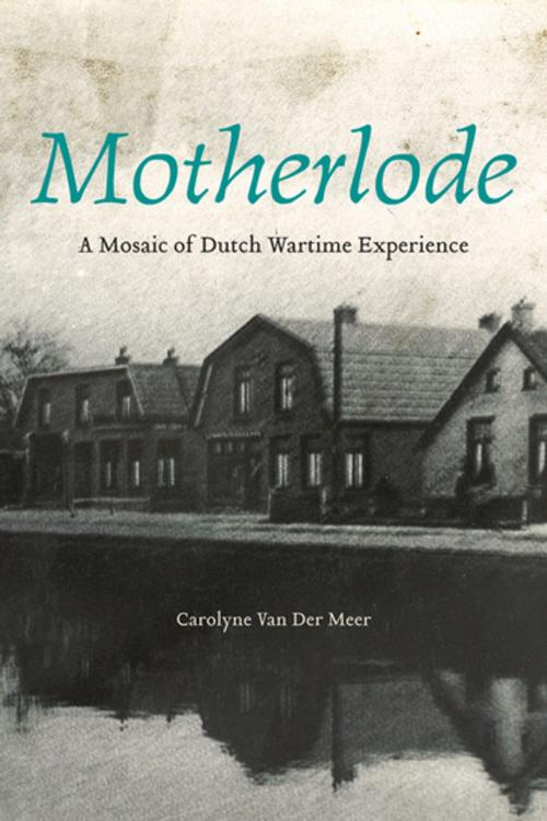 Cover of the book Motherlode by Carolyne Van Der Meer, Wilfrid Laurier University Press