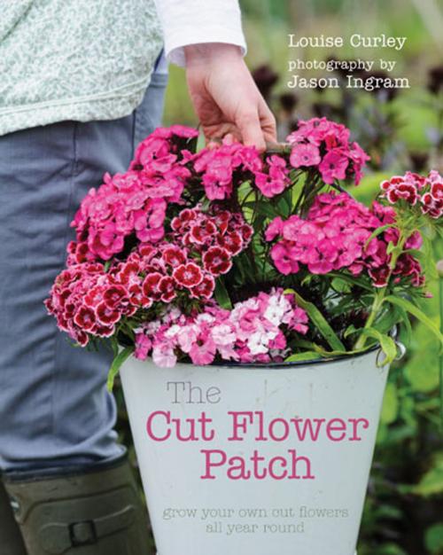 Cover of the book The Cut Flower Patch by Louise Curley, Frances Lincoln