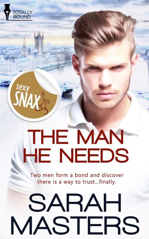 Cover of the book The Man He Needs by Sarah Masters, Totally Entwined Group Ltd