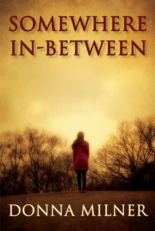 Cover of the book Somewhere In-Between by Donna Milner, Caitlin Press
