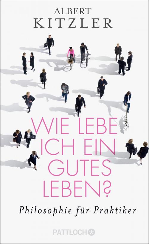 Cover of the book Wie lebe ich ein gutes Leben? by Albert Kitzler, Pattloch eBook