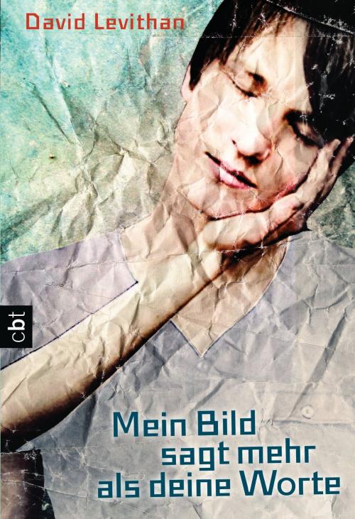 Cover of the book Mein Bild sagt mehr als deine Worte by David  Levithan, cbt