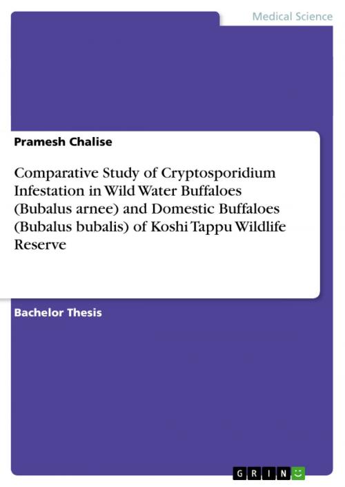 Cover of the book Comparative Study of Cryptosporidium Infestation in Wild Water Buffaloes (Bubalus arnee) and Domestic Buffaloes (Bubalus bubalis) of Koshi Tappu Wildlife Reserve by Pramesh Chalise, GRIN Verlag