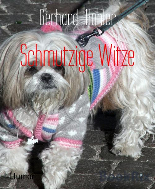 Cover of the book Schmutzige Witze by Gerhard Köhler, BookRix