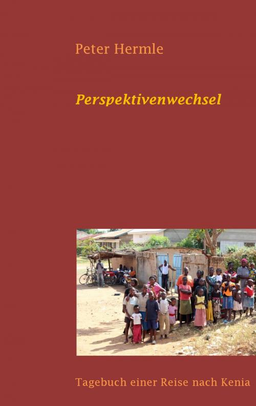 Cover of the book Perspektivenwechsel by Peter Hermle, Books on Demand