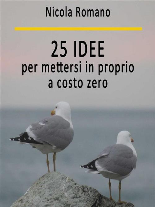 Cover of the book 25 idee per mettersi in proprio a costo zero by Nicola Romano, Youcanprint