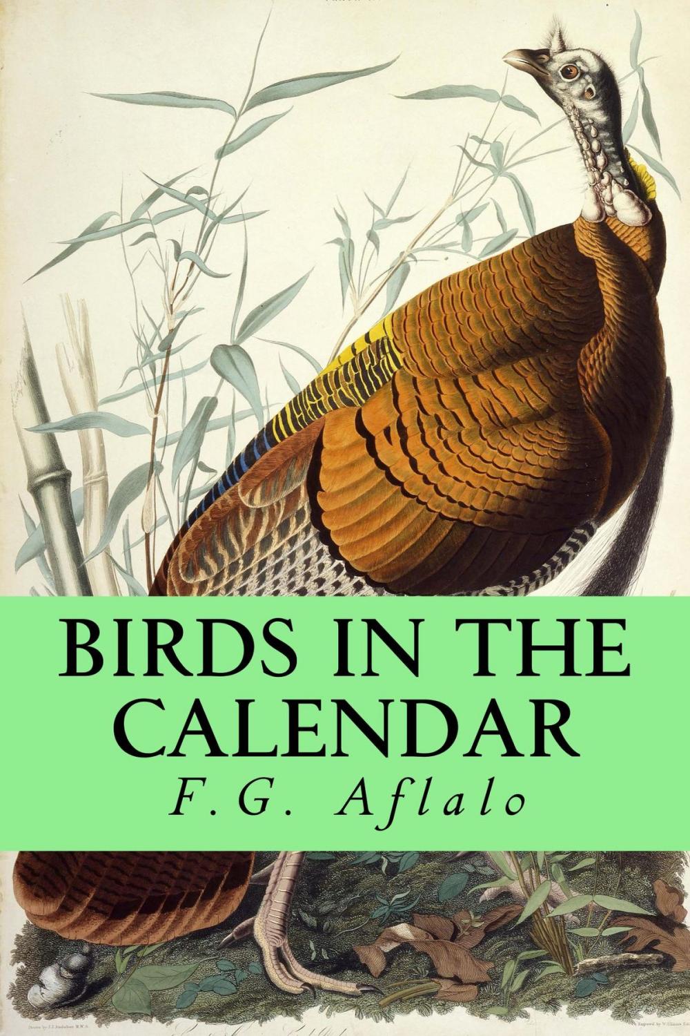 Big bigCover of Birds in the Calendar