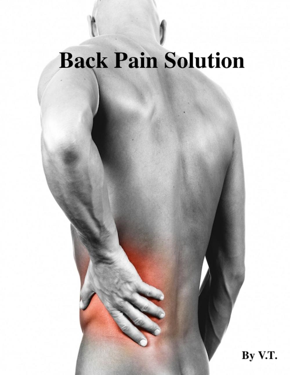 Big bigCover of Back Pain Solution