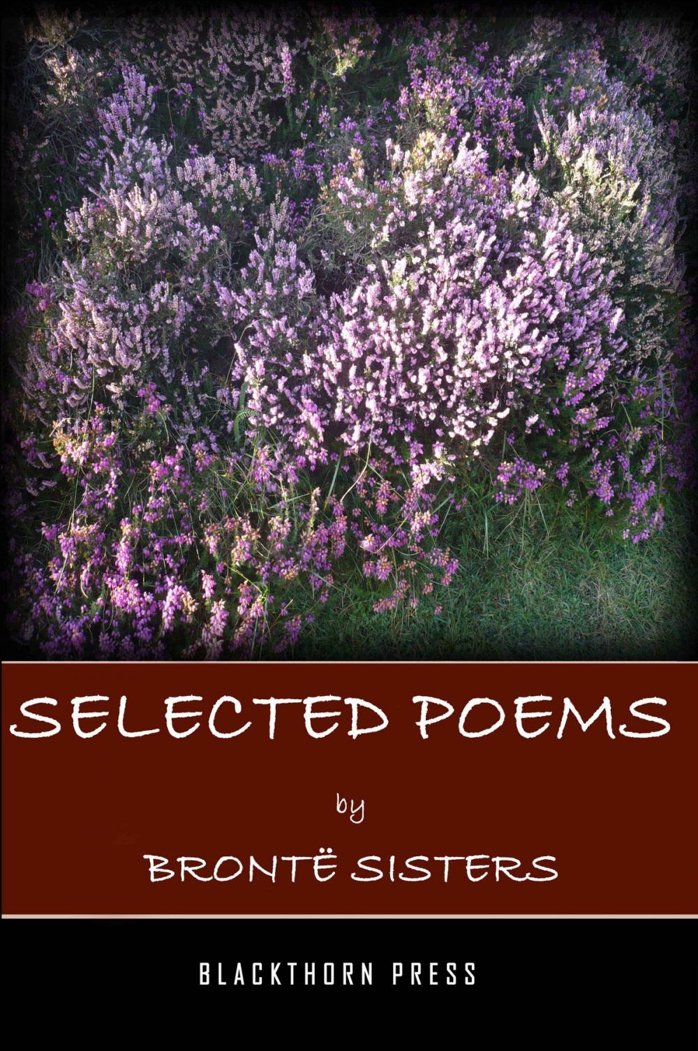 Big bigCover of Selected Poems