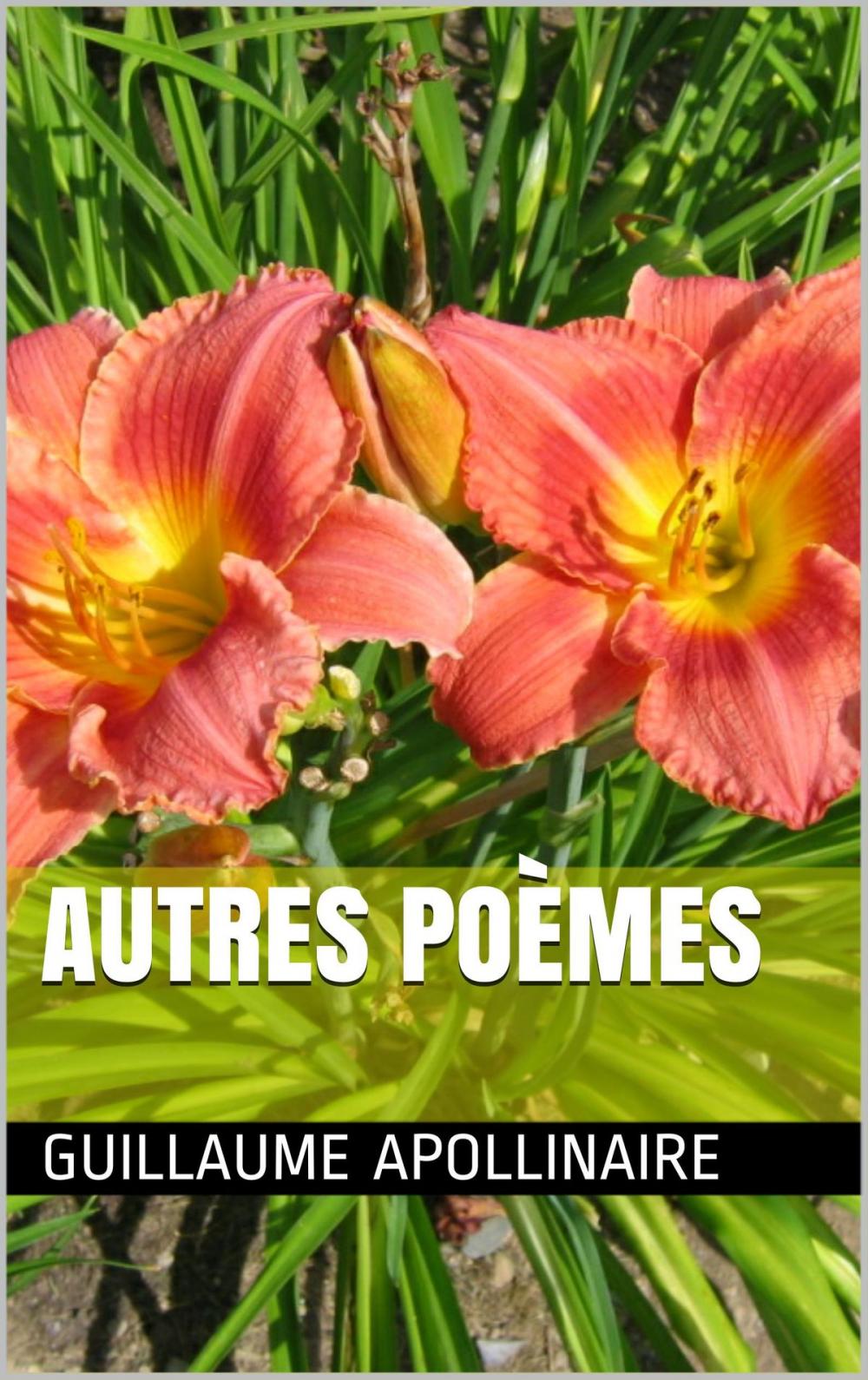 Big bigCover of Autres poèmes