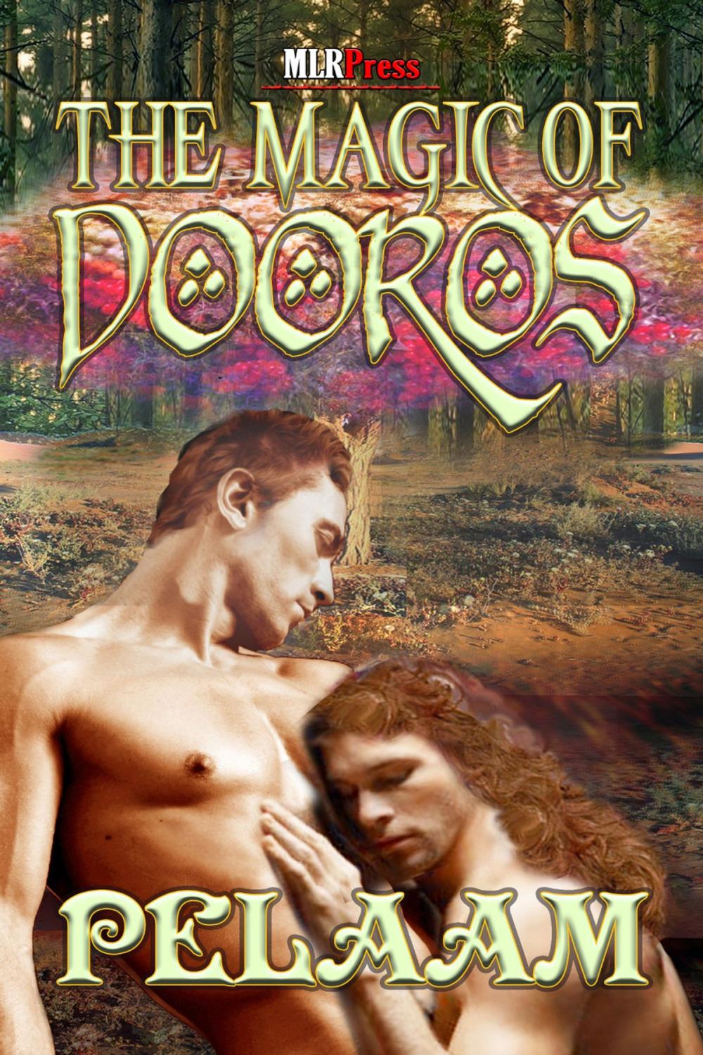 Big bigCover of The Magic of Dooros