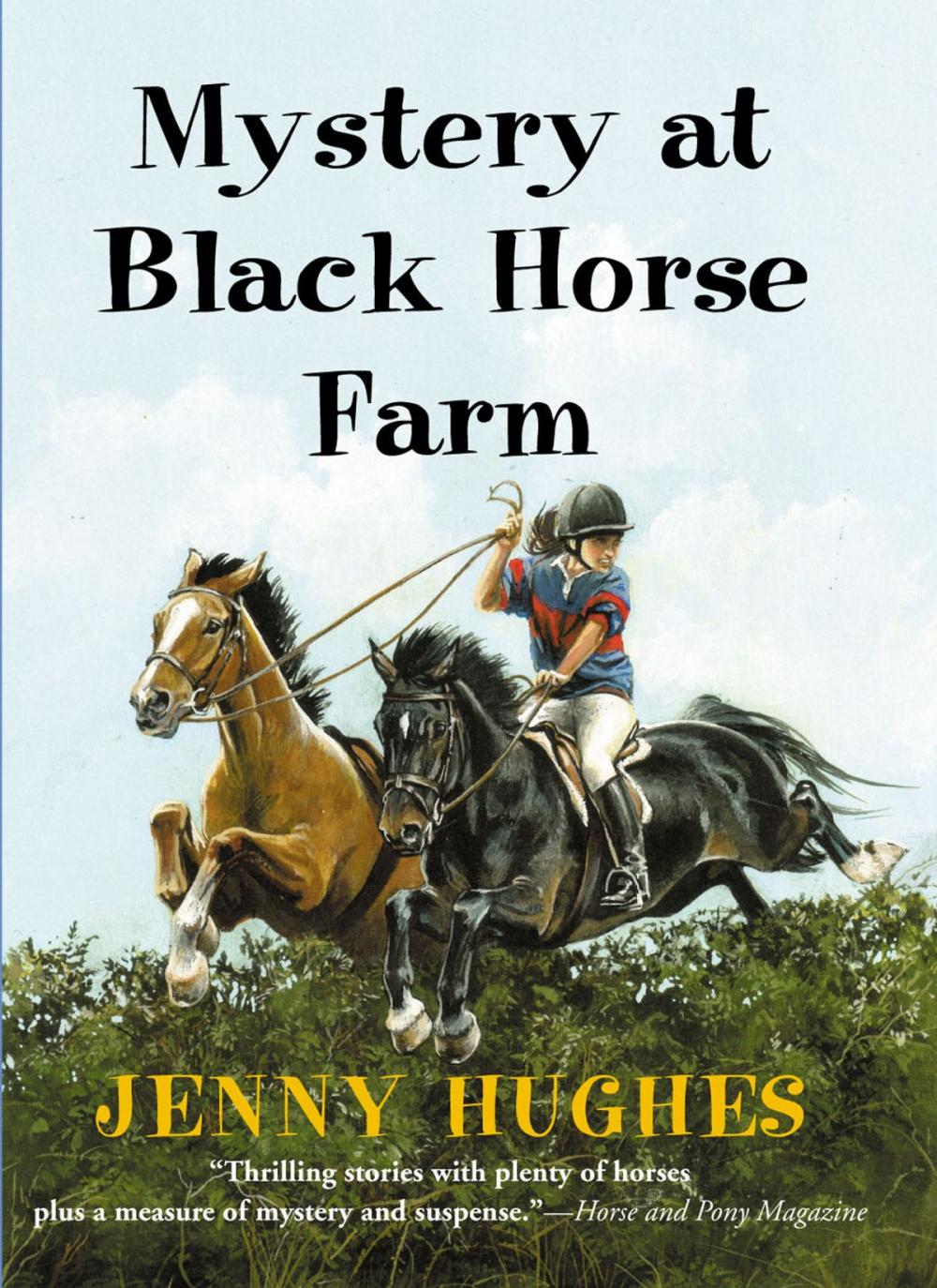 Big bigCover of Mystery at Black Horse Farm