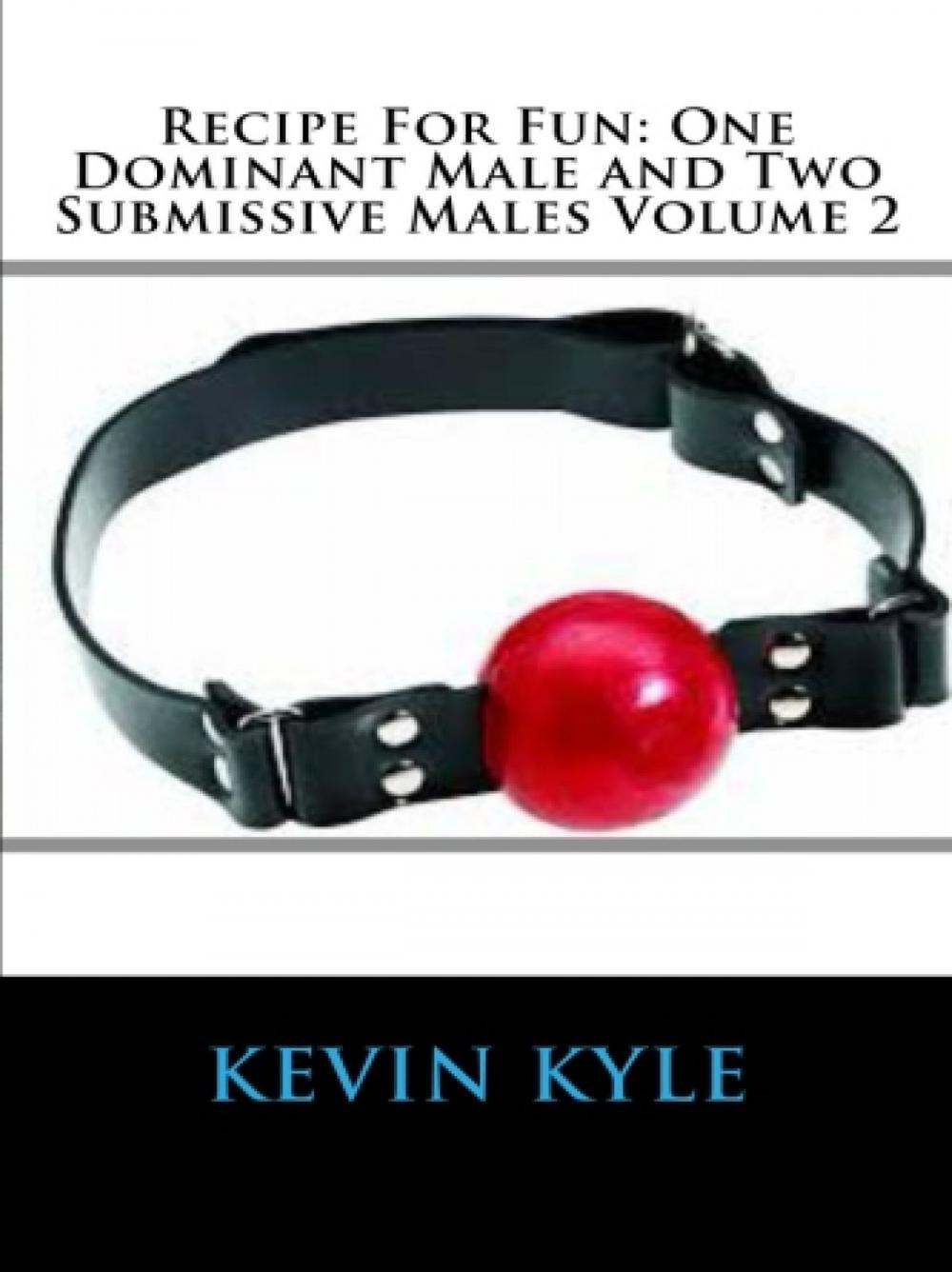 Big bigCover of Recipe For Fun: One Dominant Male and Two Submissive Males Volume 2