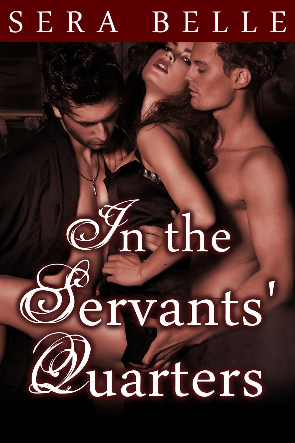 Big bigCover of In the Servants' Quarters