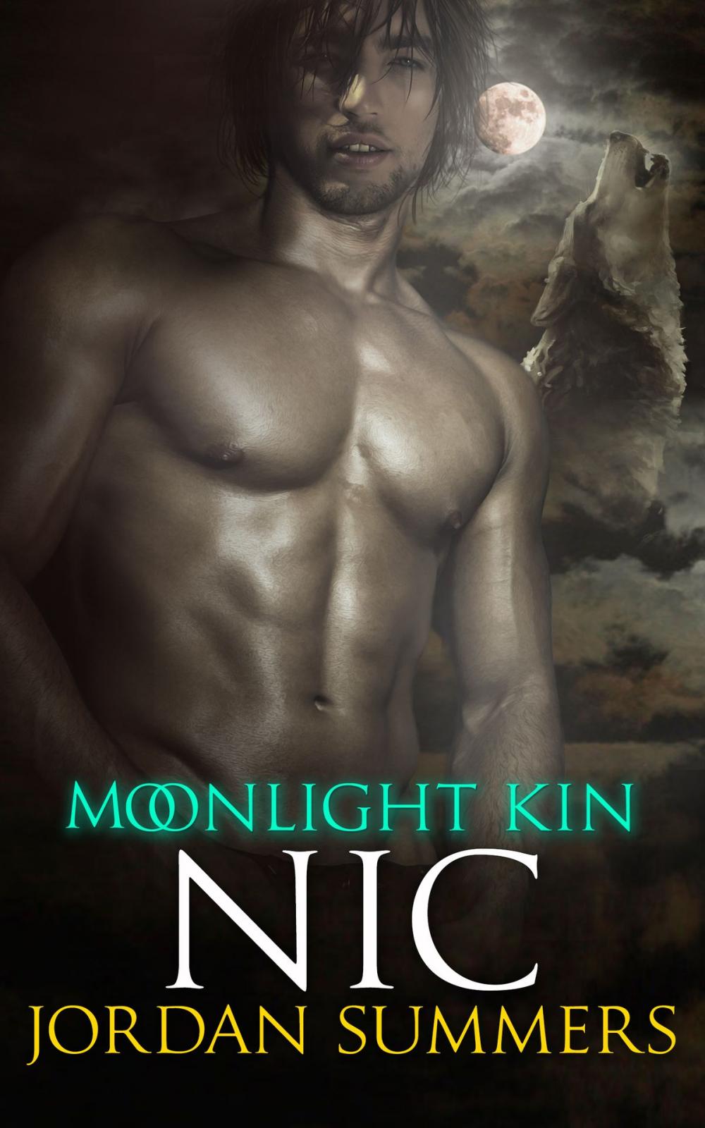 Big bigCover of Moonlight Kin 3: Nic