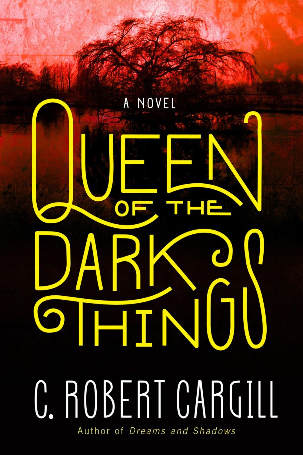 Big bigCover of Queen of the Dark Things