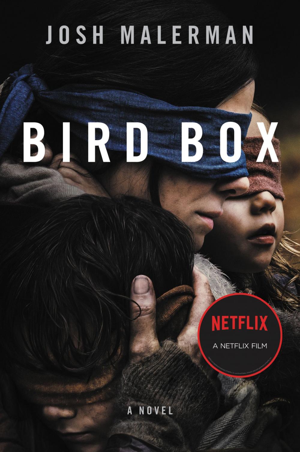 Big bigCover of Bird Box