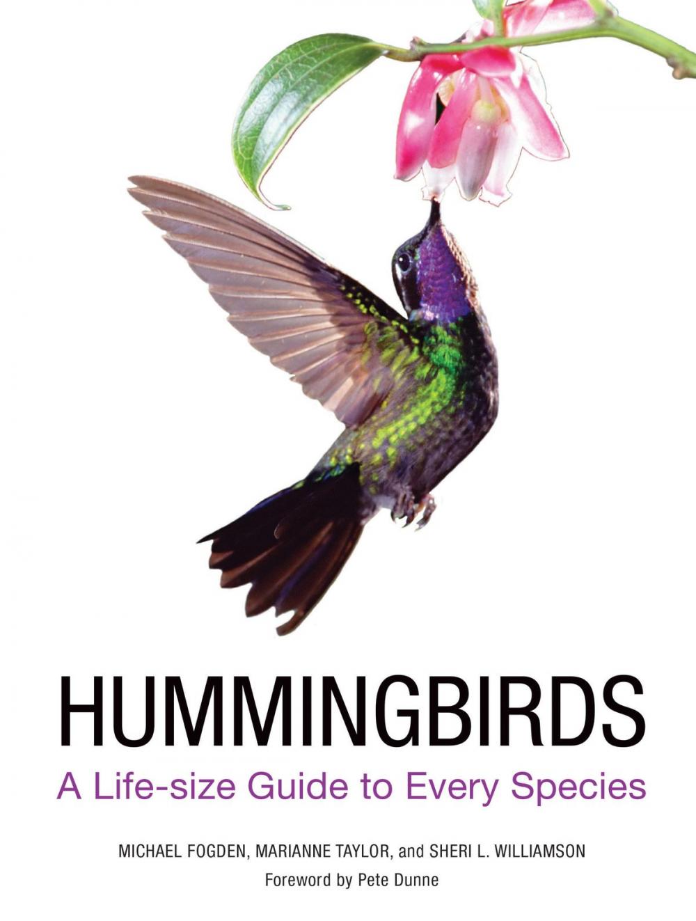 Big bigCover of Hummingbirds