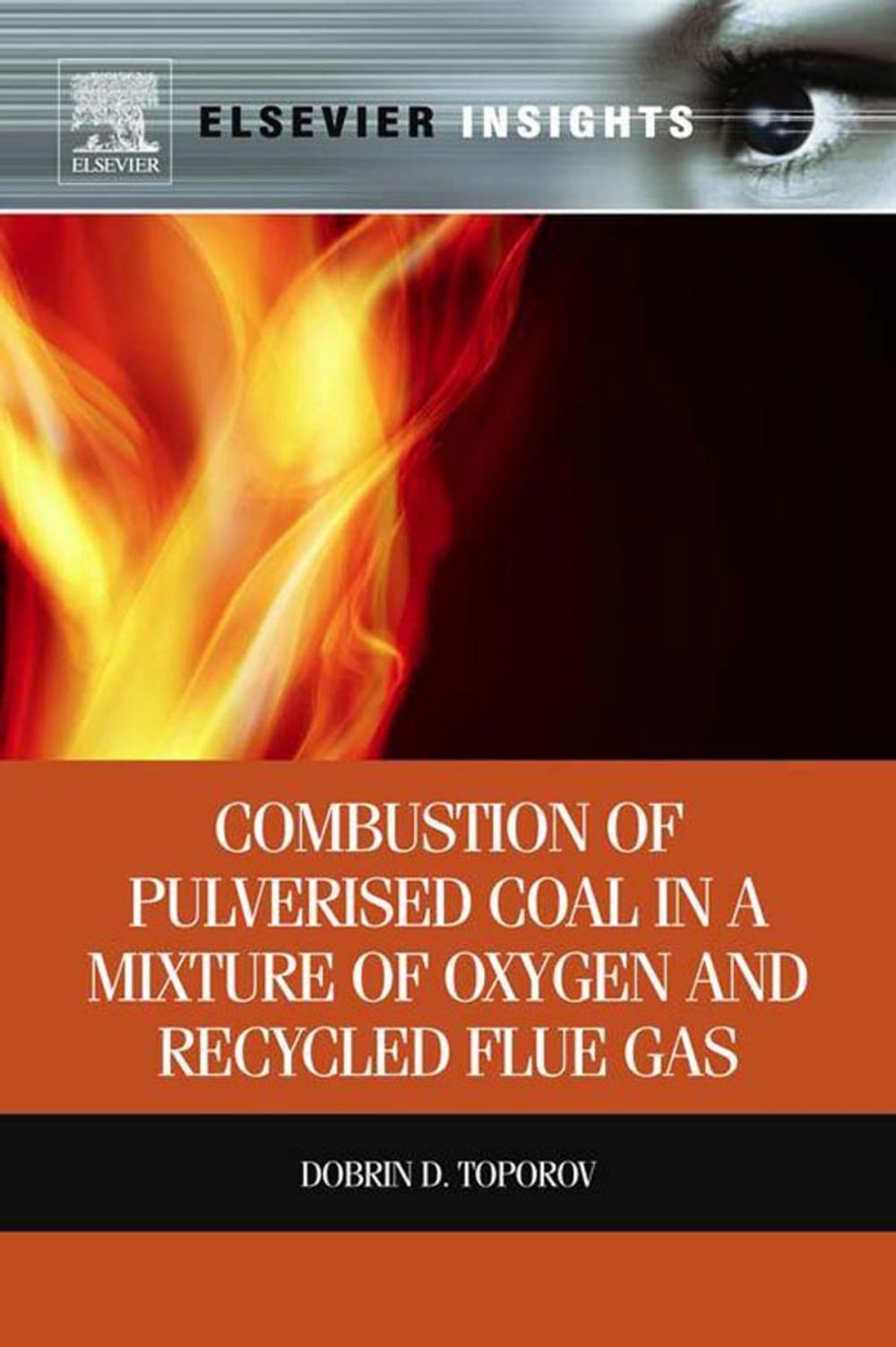 Big bigCover of Combustion of Pulverised Coal in a Mixture of Oxygen and Recycled Flue Gas