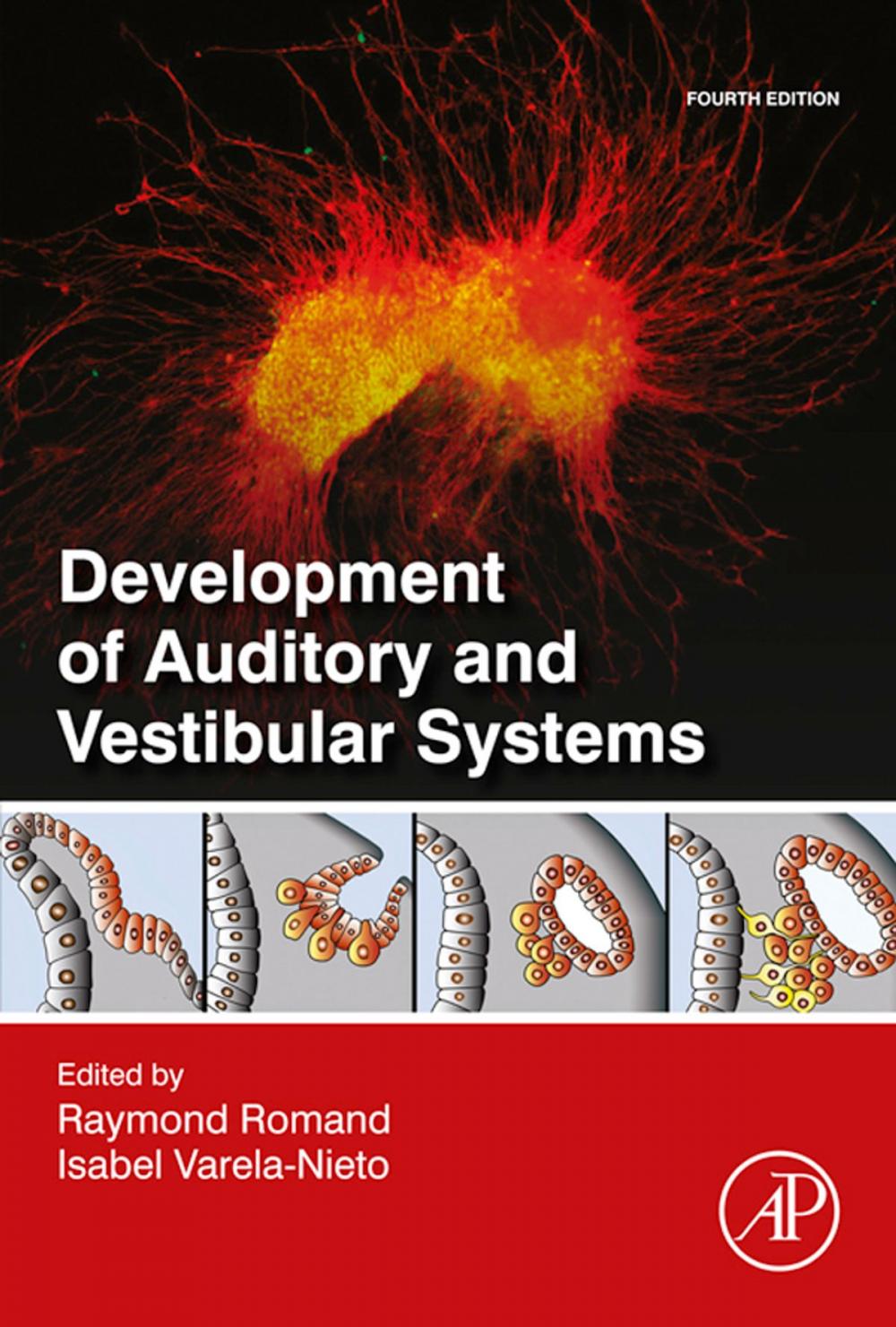 Big bigCover of Development of Auditory and Vestibular Systems