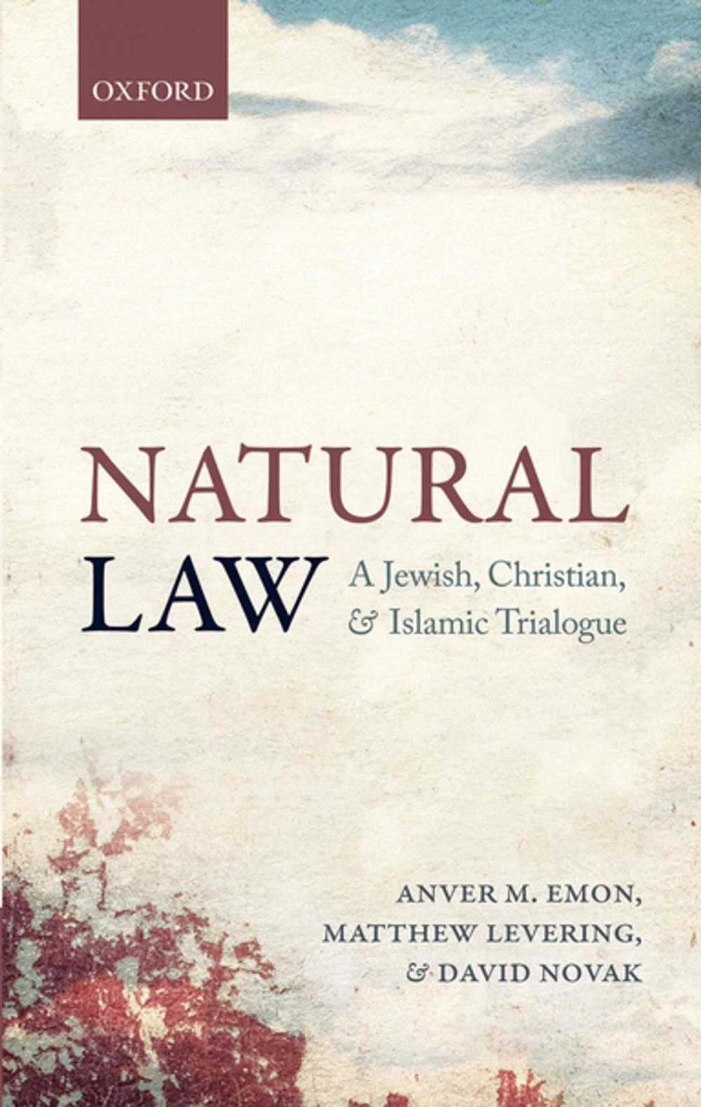 Big bigCover of Natural Law