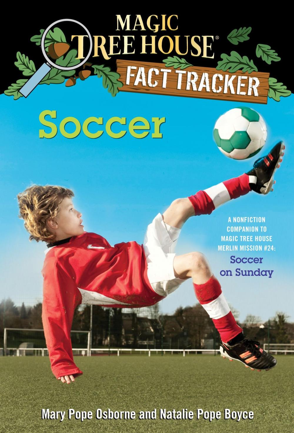 Big bigCover of Soccer