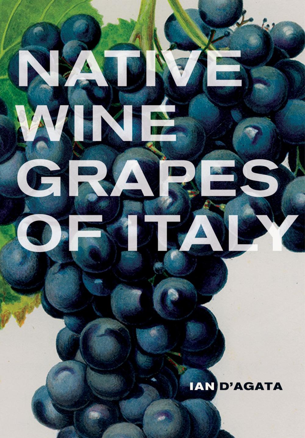 Big bigCover of Native Wine Grapes of Italy