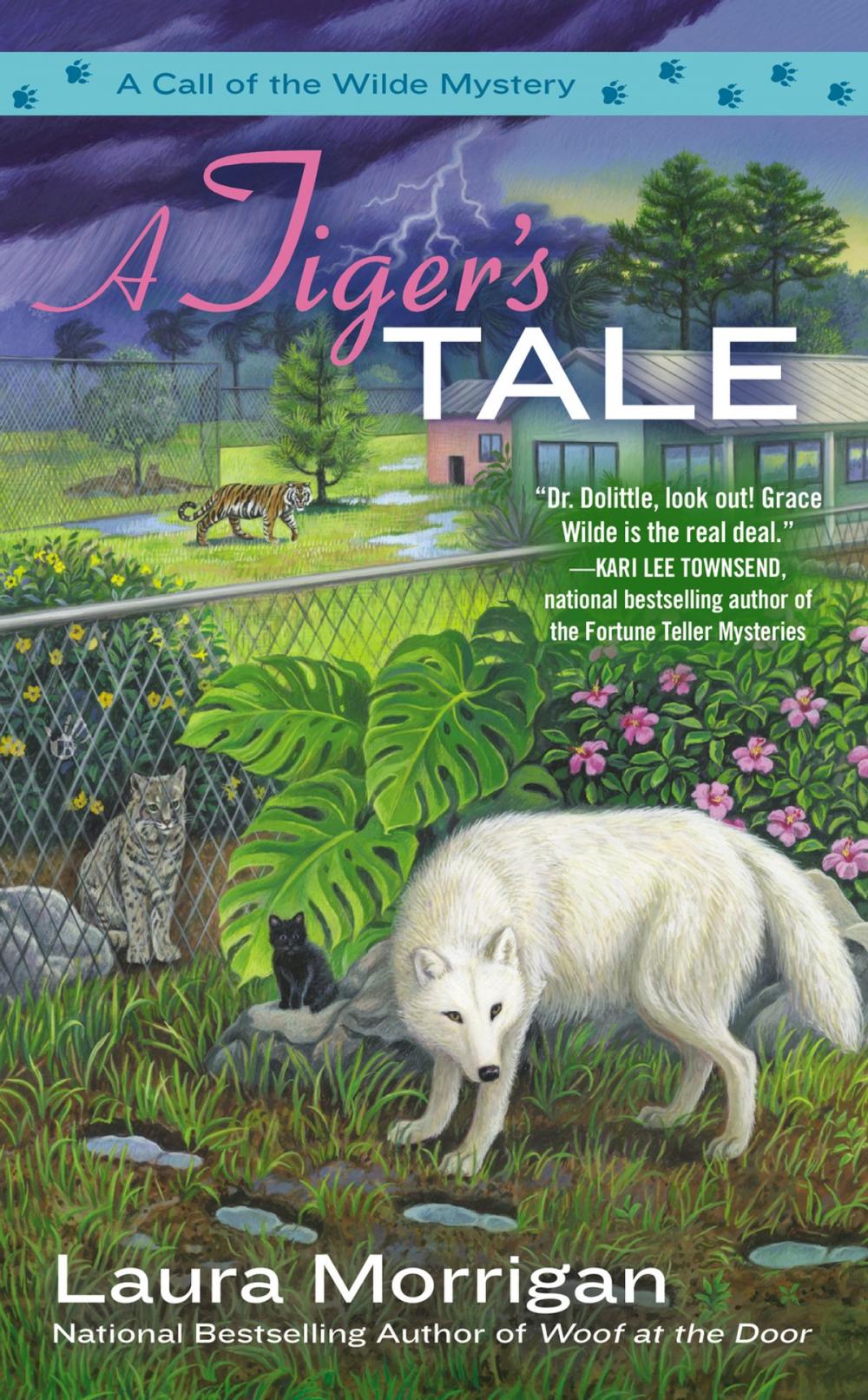 Big bigCover of A Tiger's Tale