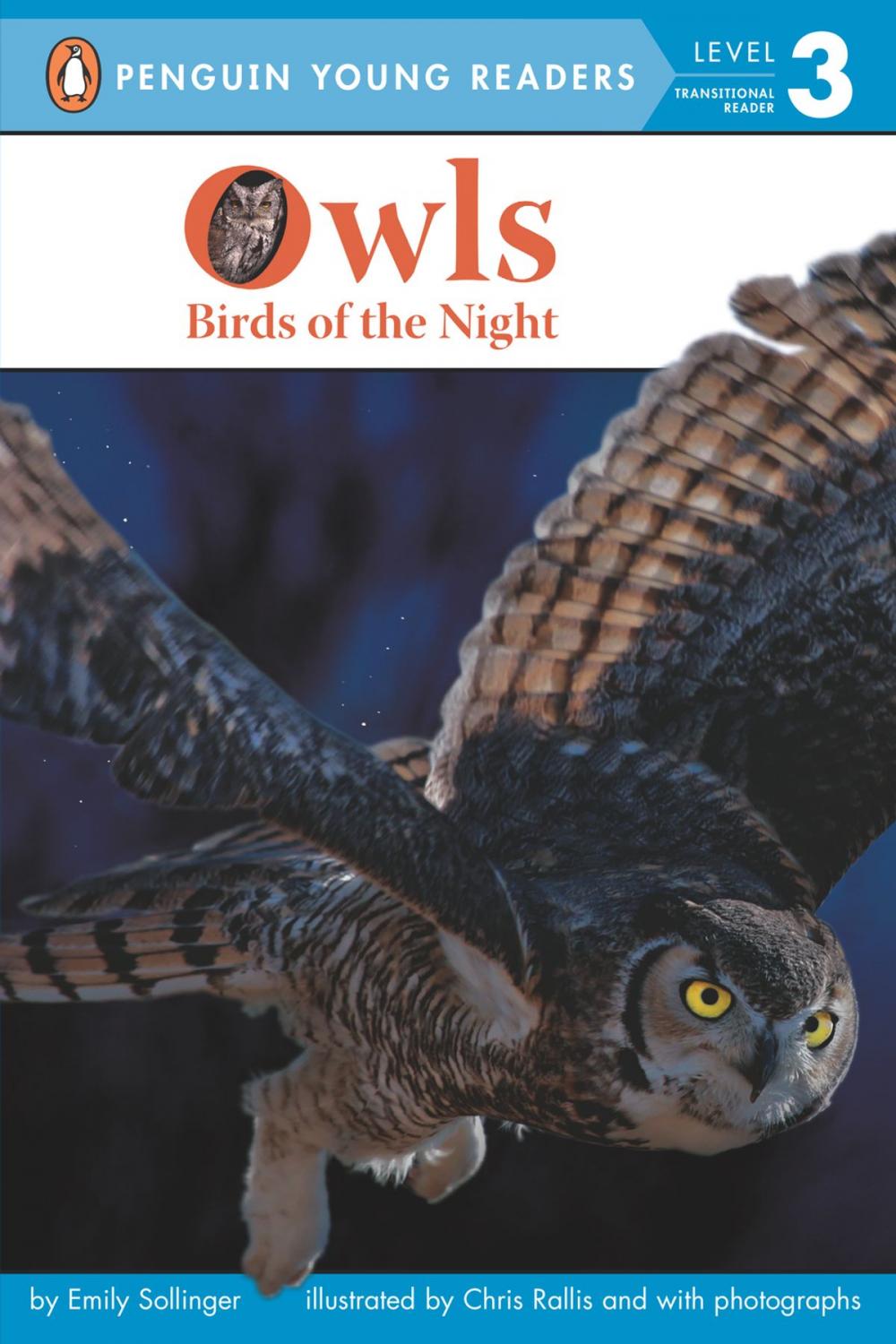 Big bigCover of Owls