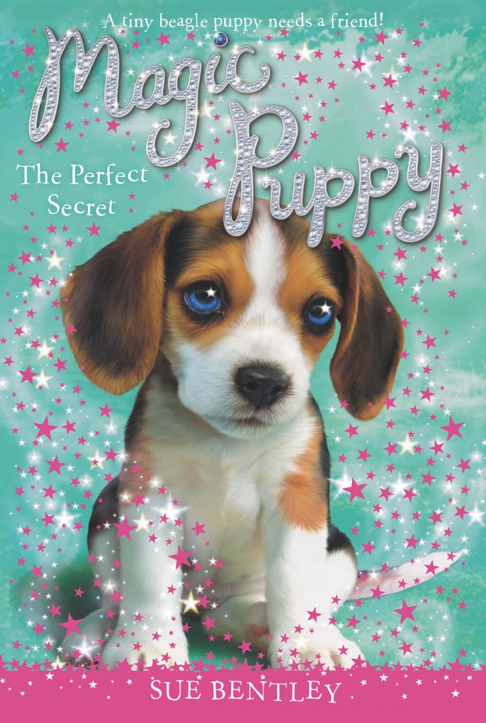 Big bigCover of The Perfect Secret #14