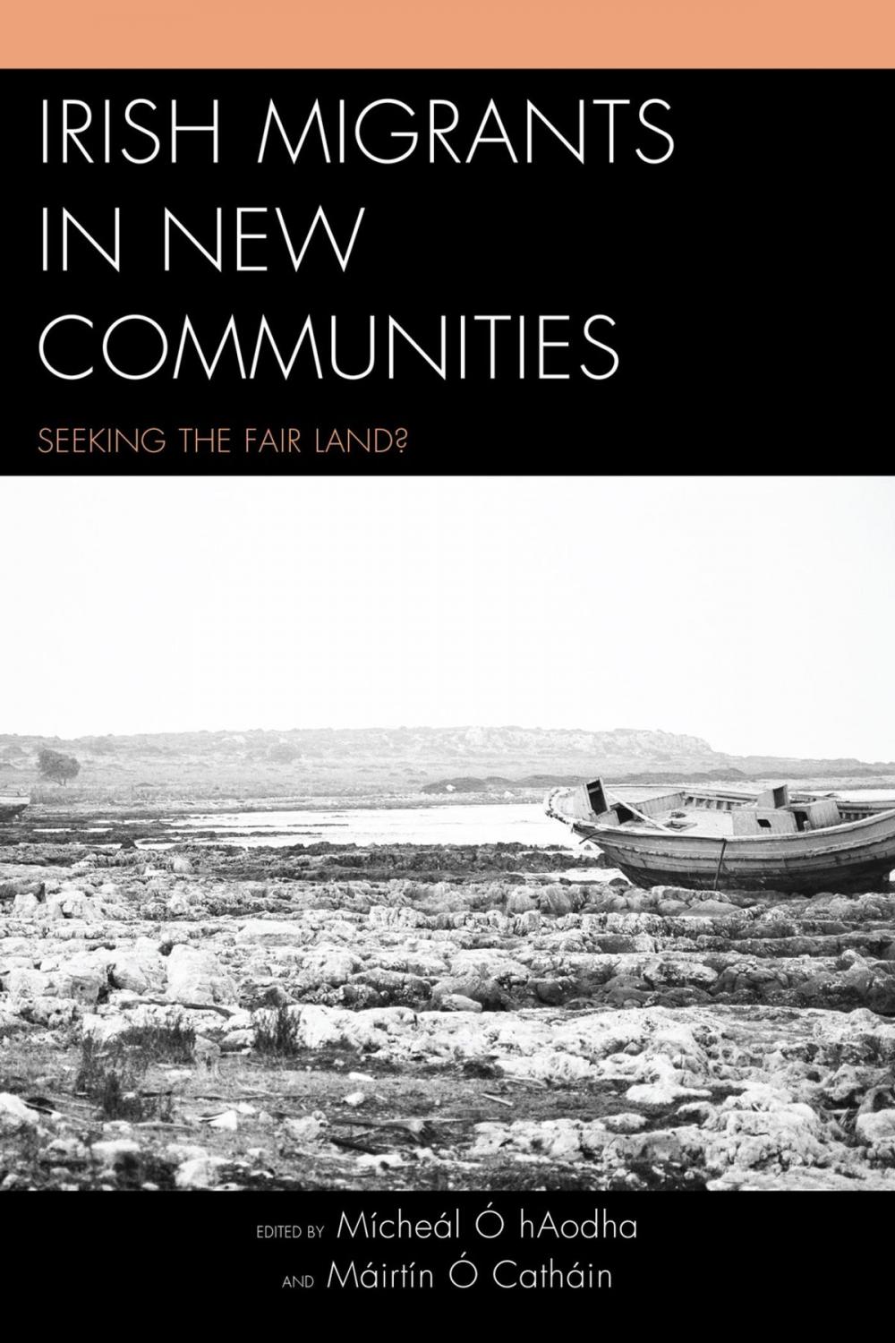 Big bigCover of Irish Migrants in New Communities