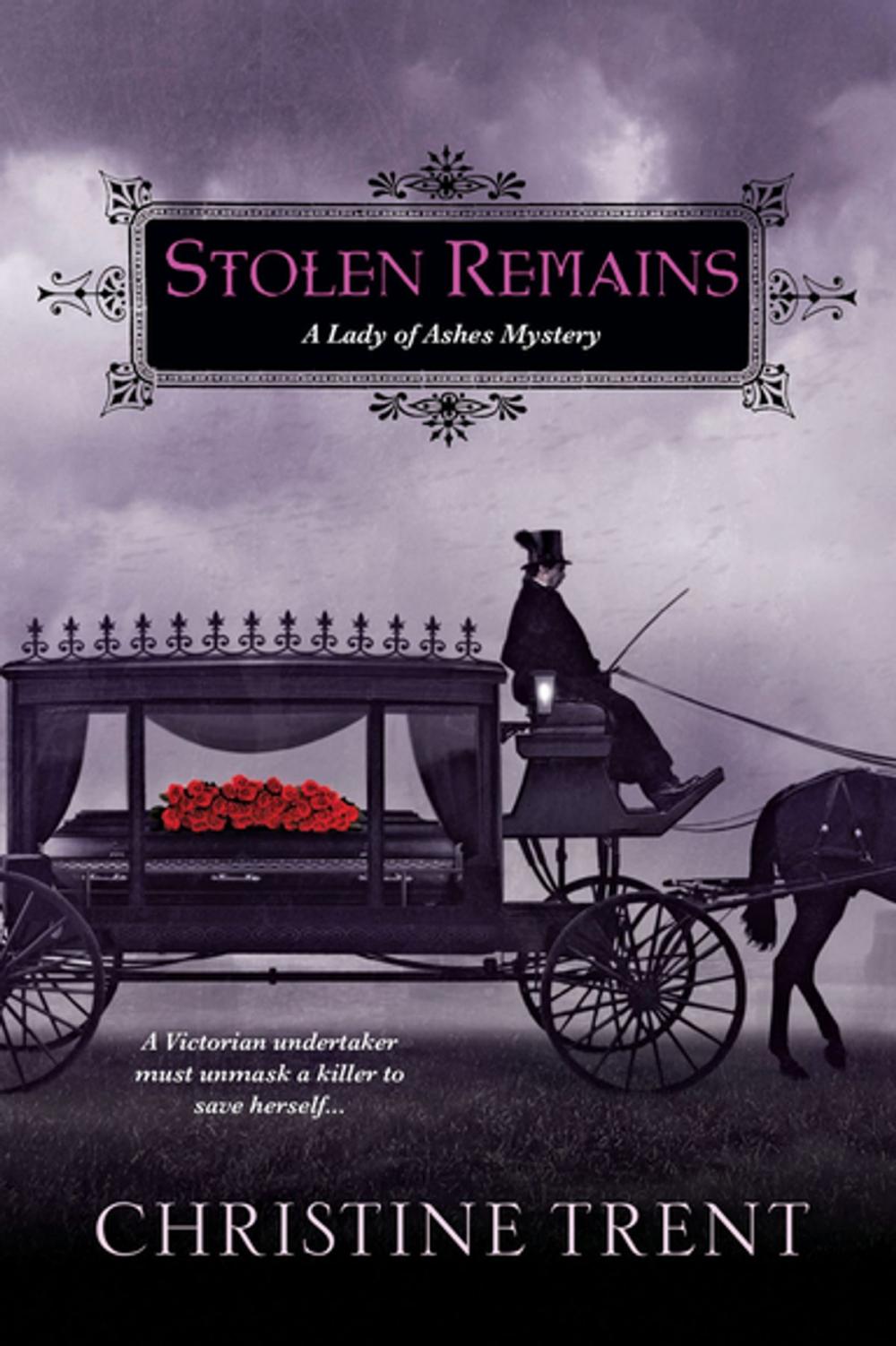 Big bigCover of Stolen Remains