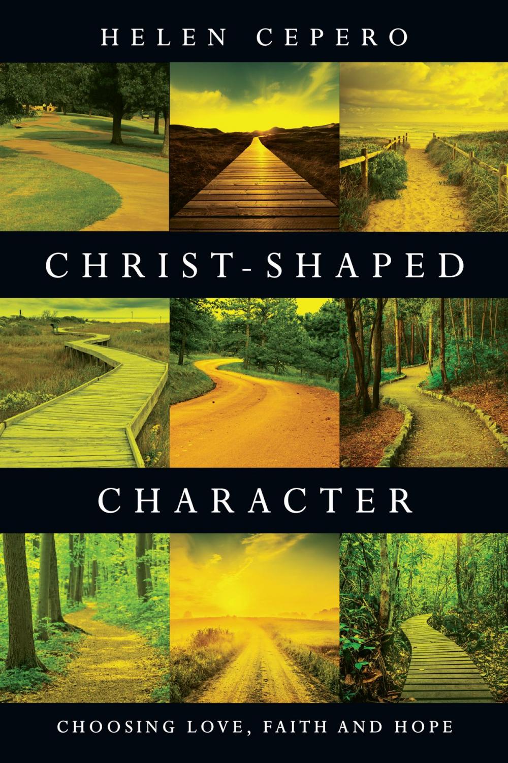 Big bigCover of Christ-Shaped Character