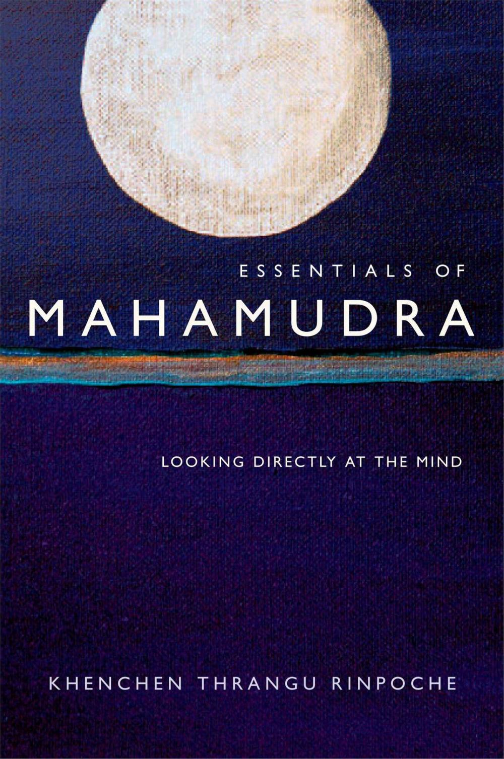 Big bigCover of Essentials of Mahamudra