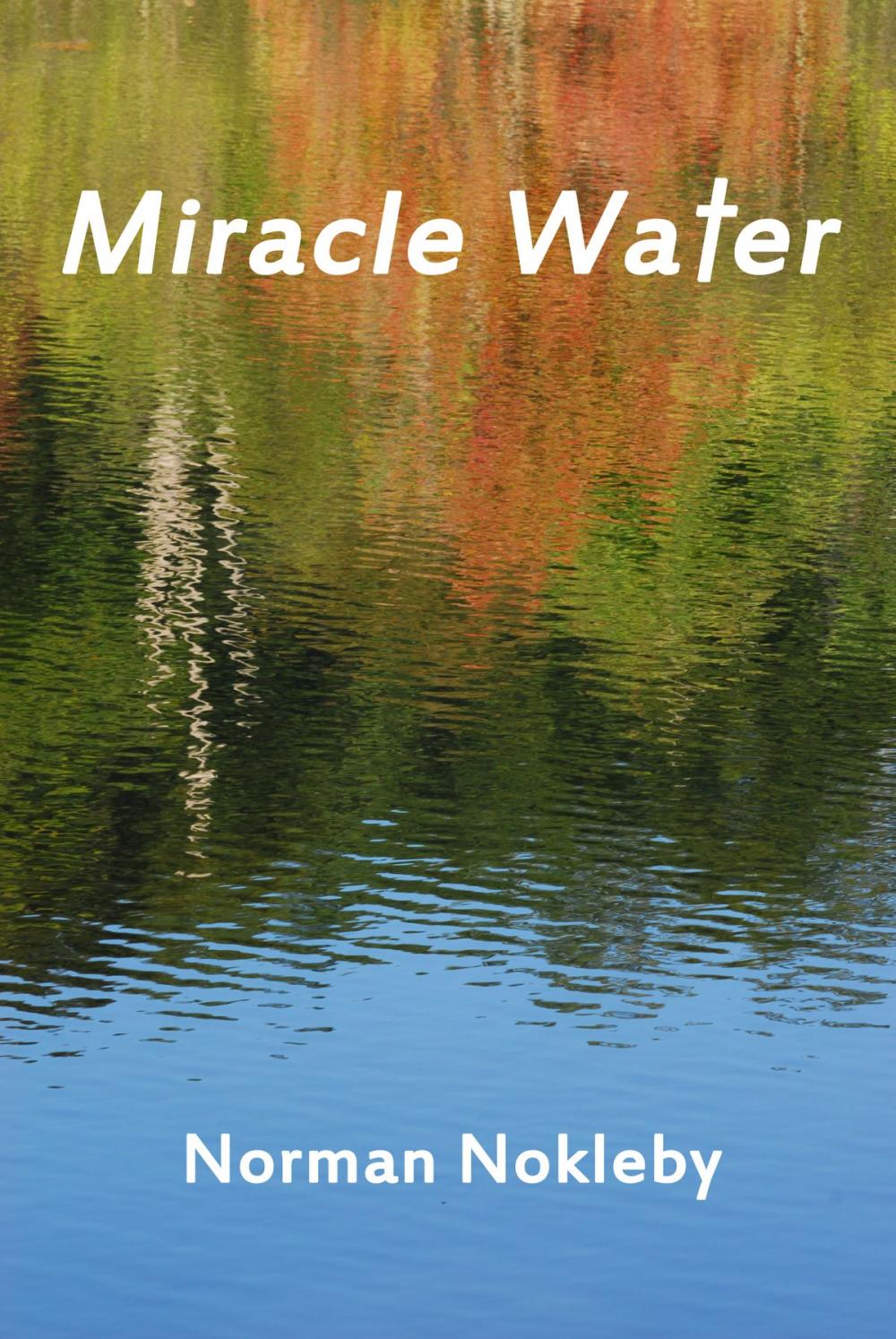 Big bigCover of Miracle Water