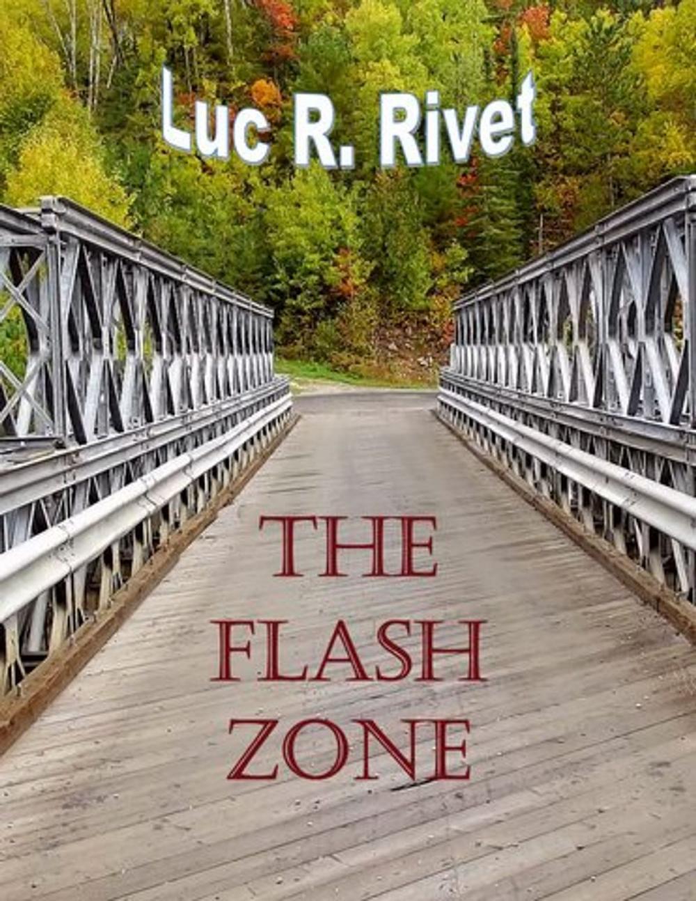 Big bigCover of The Flash Zone