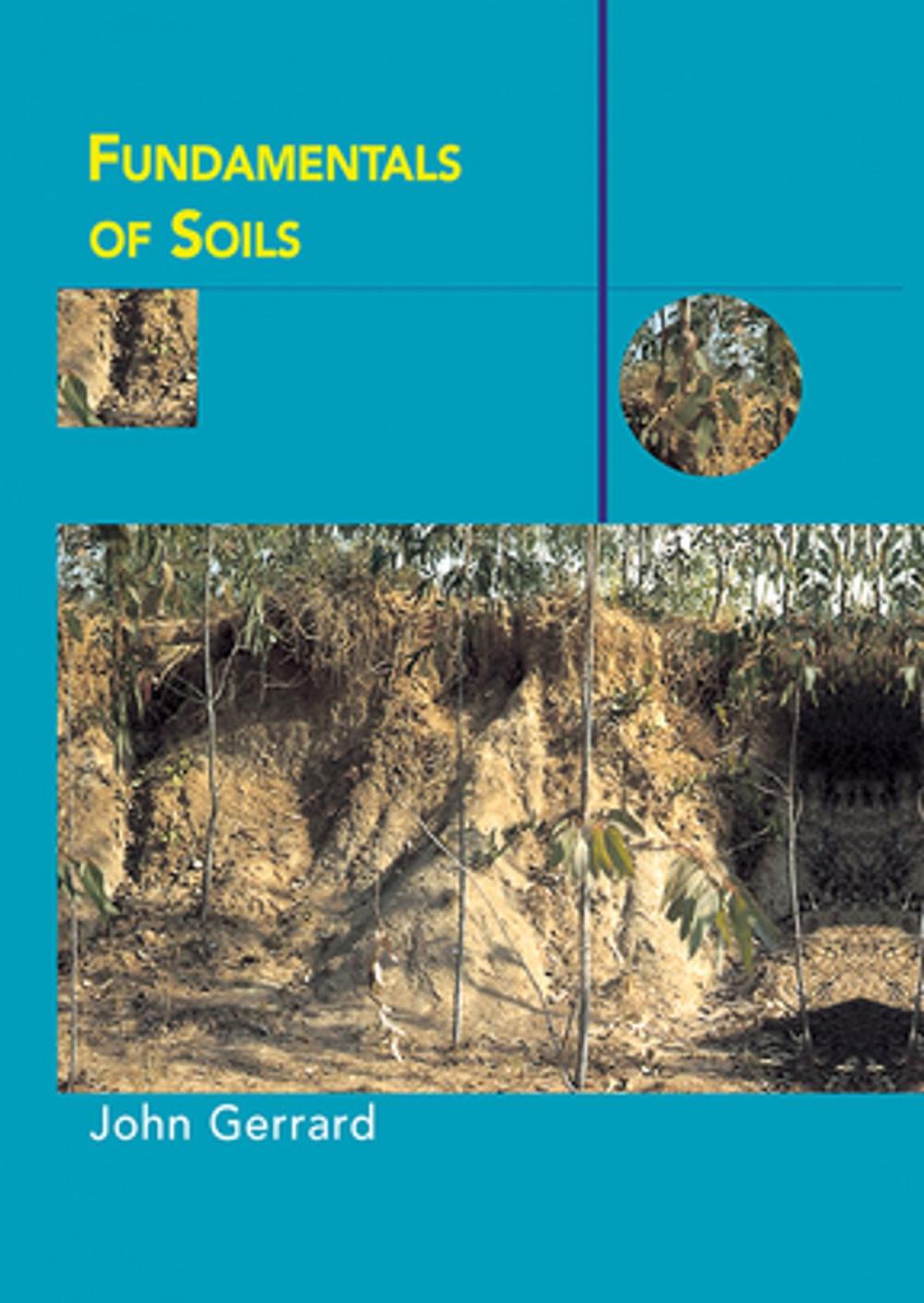 Big bigCover of Fundamentals of Soils