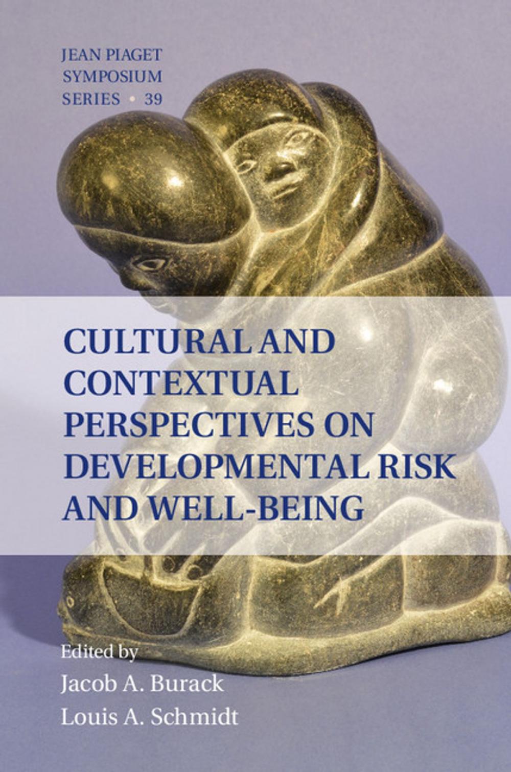 Big bigCover of Cultural and Contextual Perspectives on Developmental Risk and Well-Being