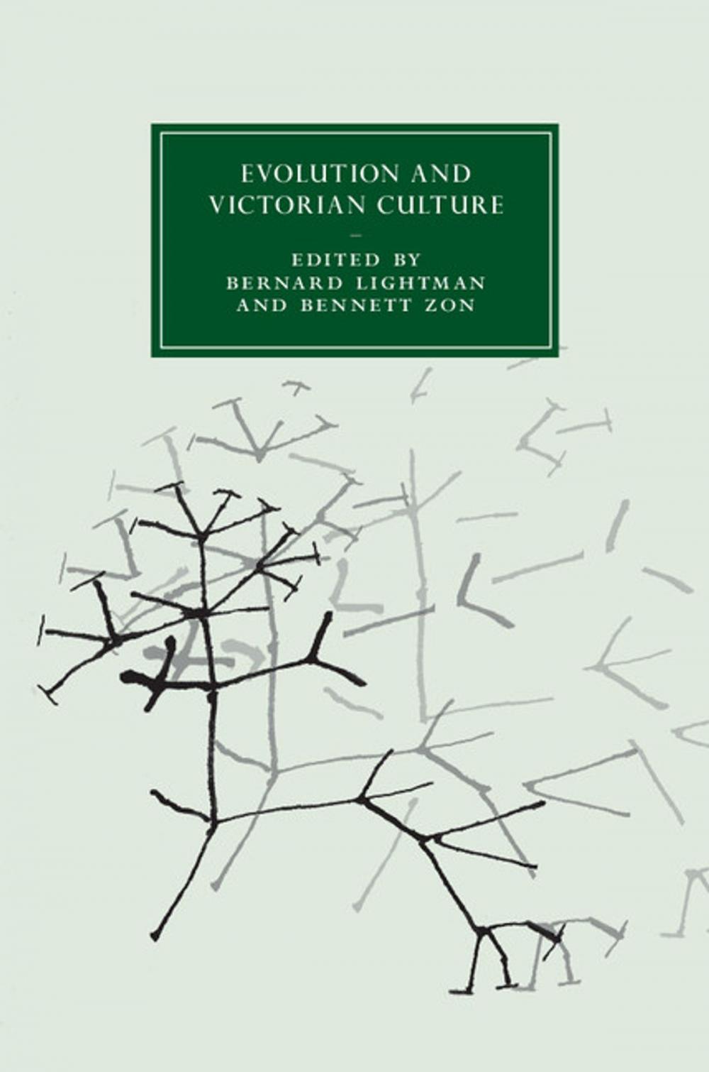 Big bigCover of Evolution and Victorian Culture