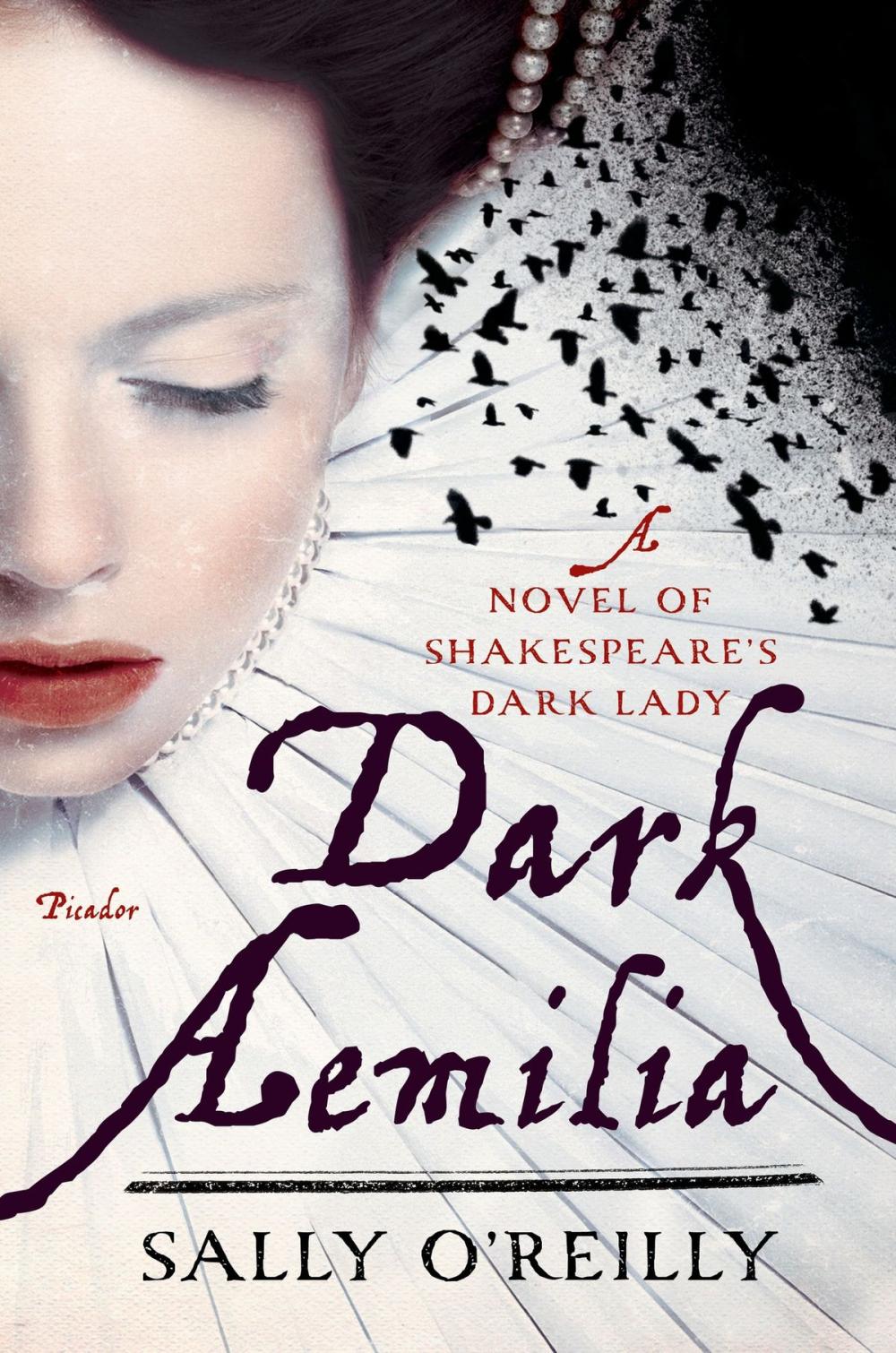 Big bigCover of Dark Aemilia