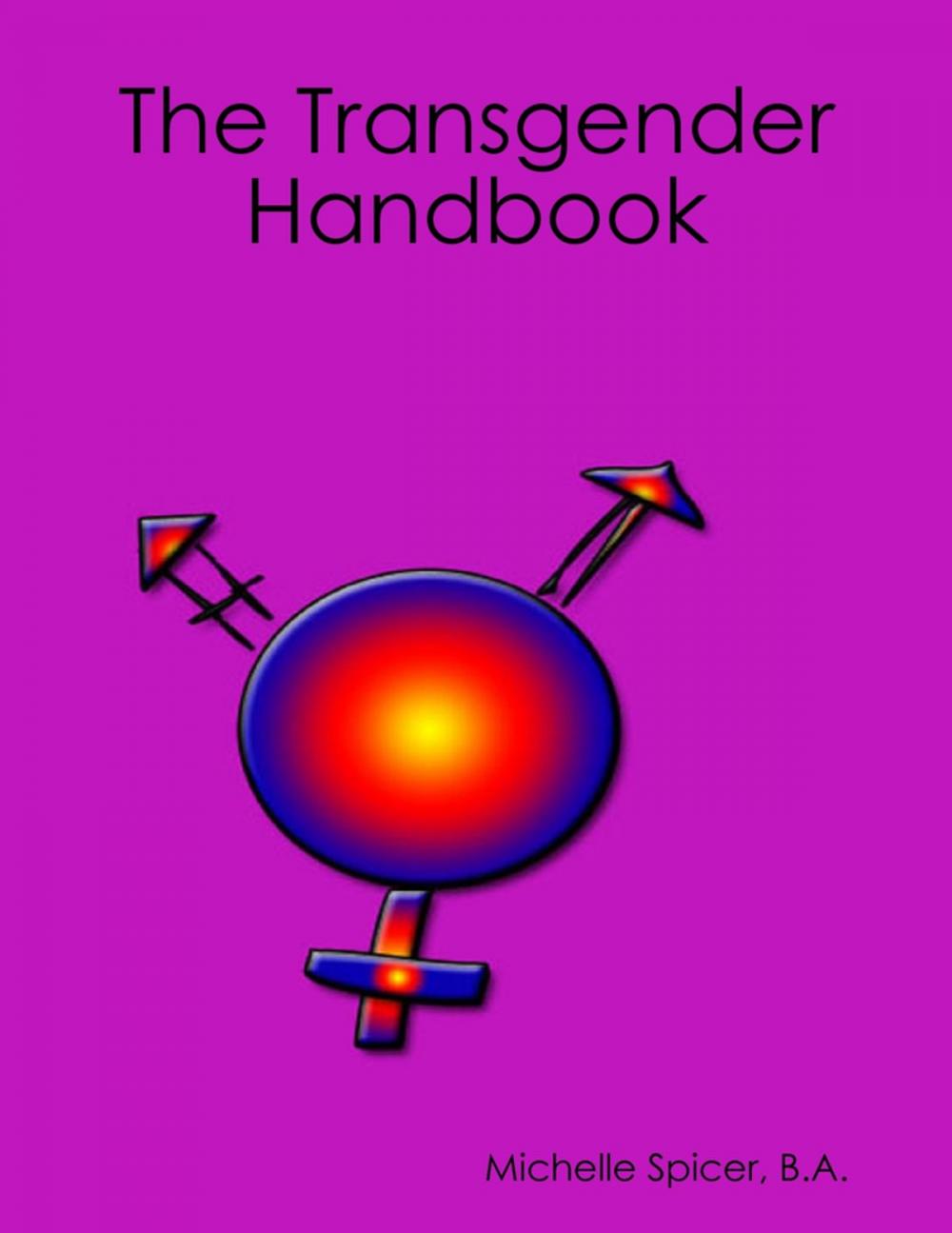 Big bigCover of The Transgender Handbook