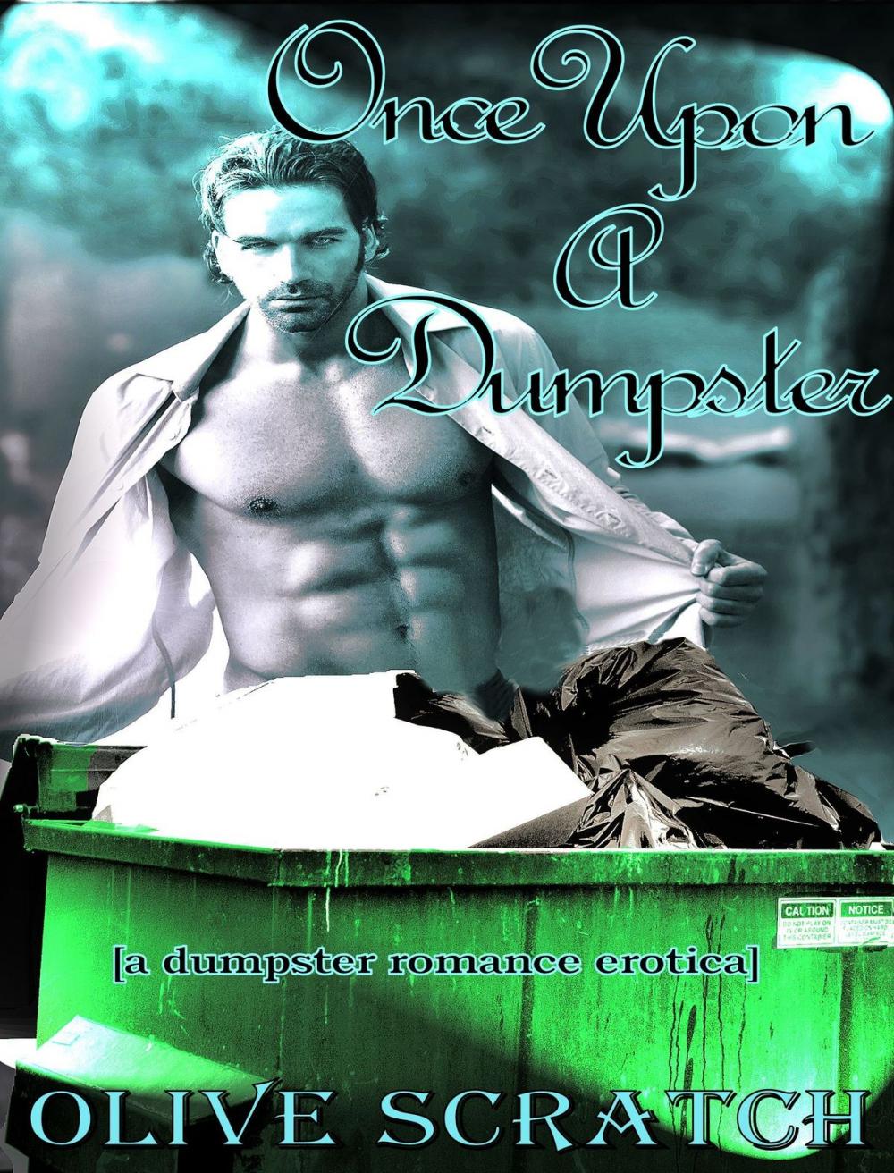 Big bigCover of Once Upon A Dumpster: A Dumpster Romance Erotica