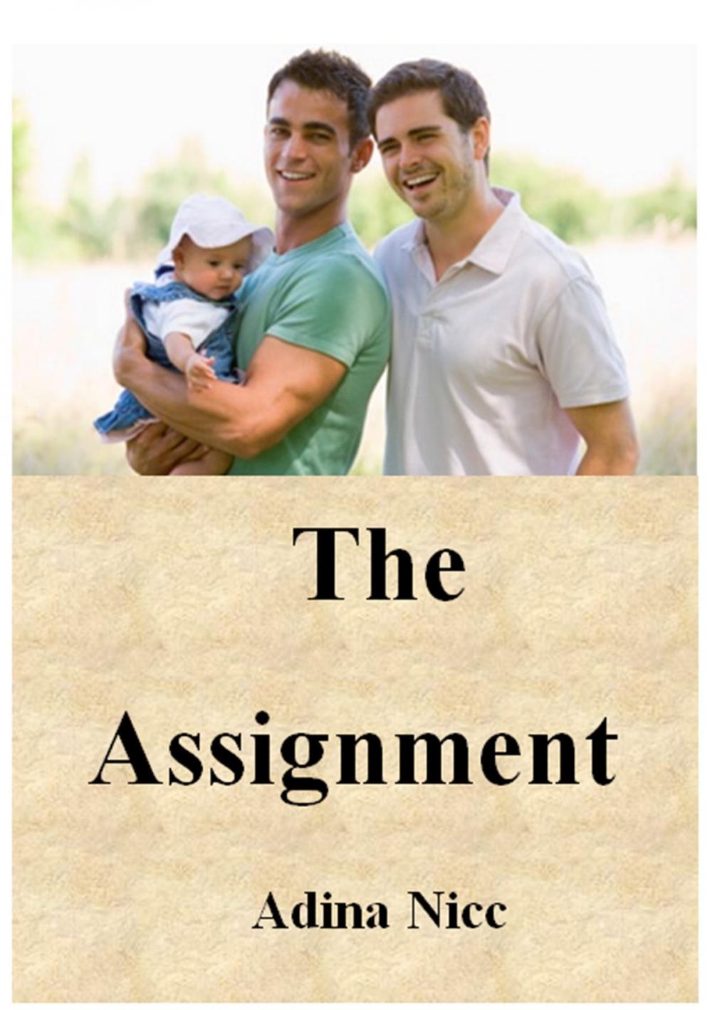 Big bigCover of The Assignment