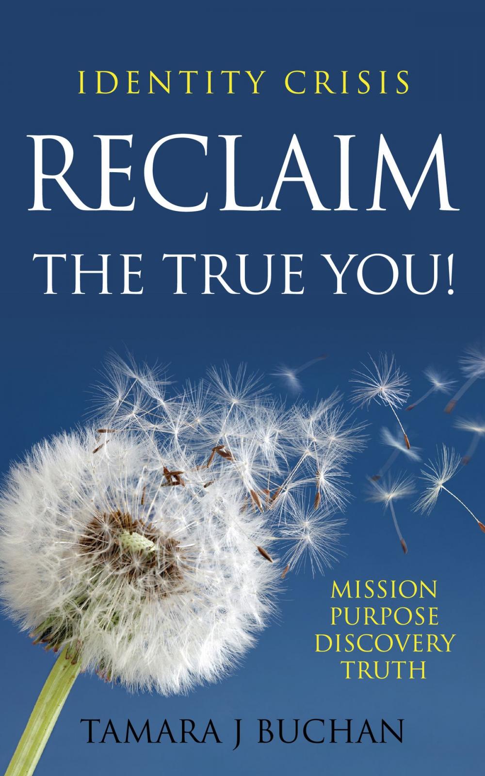 Big bigCover of Identity Crisis: Reclaim the True You!